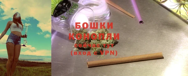 шишки Балахна