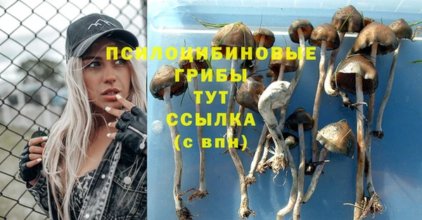 прущая мука Балабаново