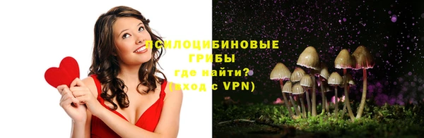шишки Балахна