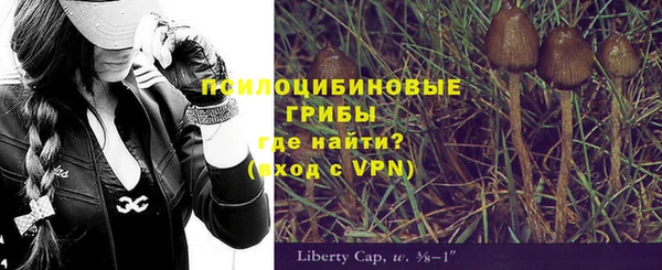 шишки Балахна