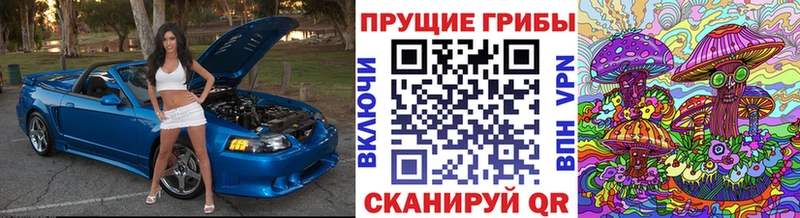 Галлюциногенные грибы мицелий  как найти закладки  Богданович 